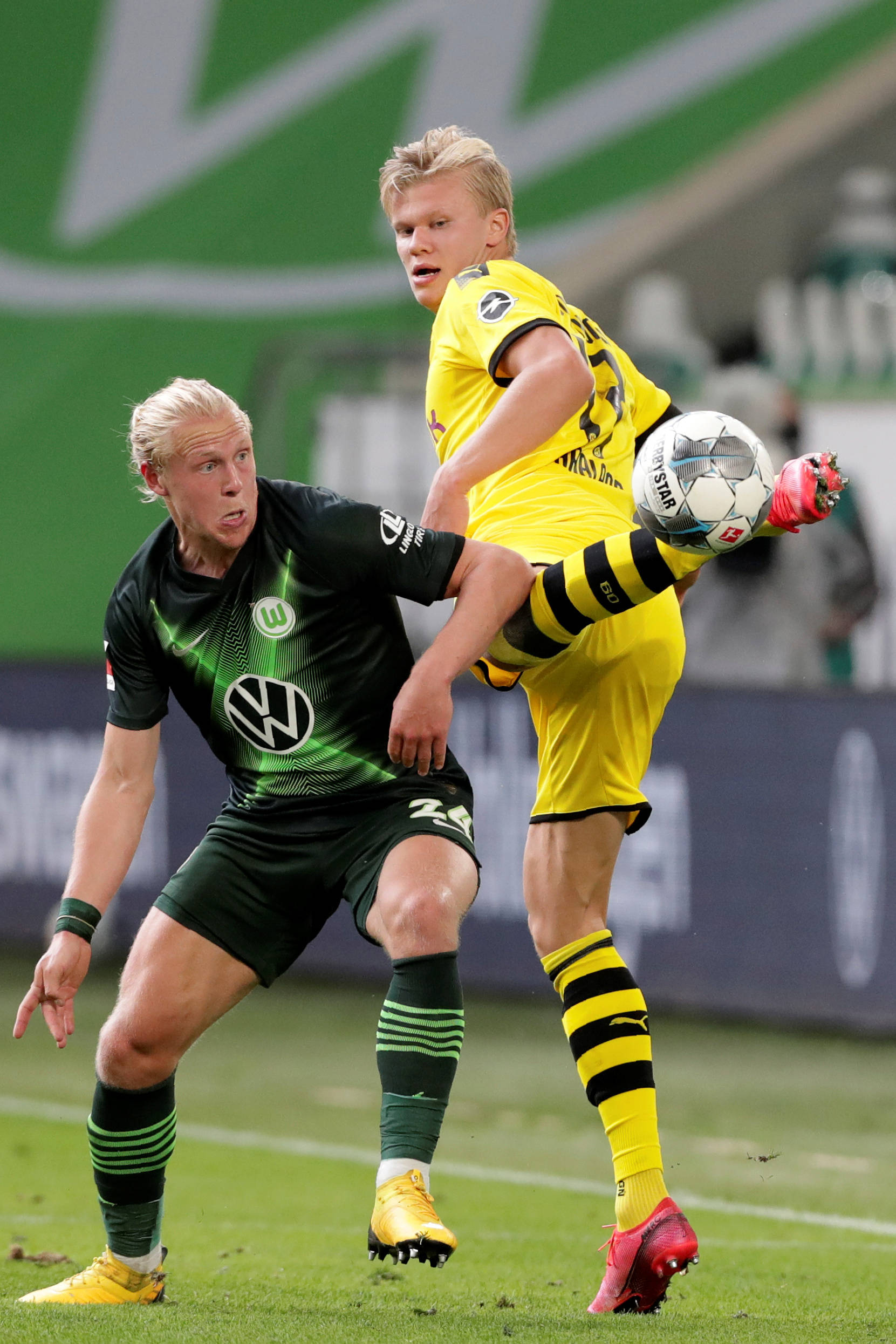 律宾的粉丝 律宾的粉丝