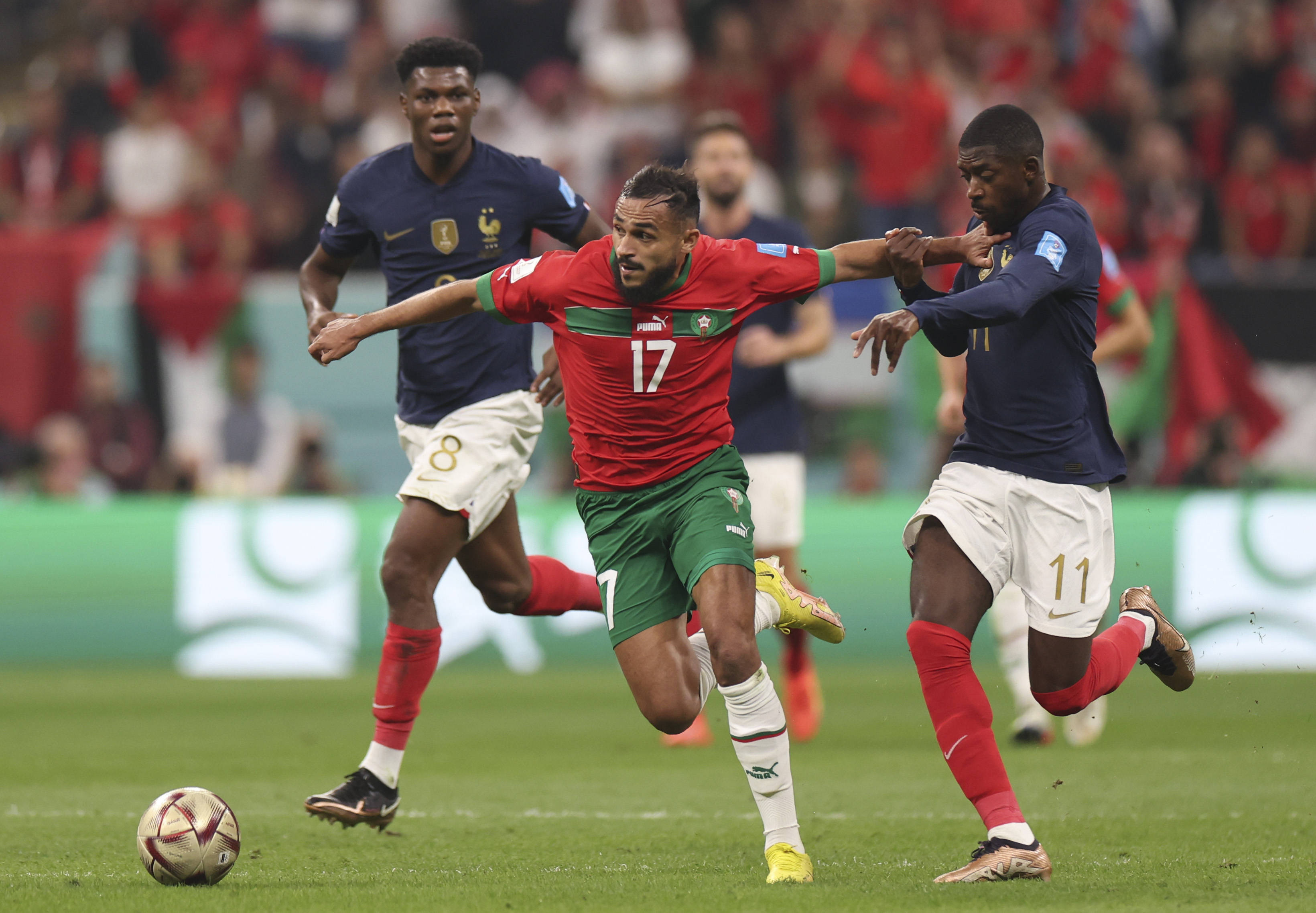 张兆旭的情 张兆旭的情