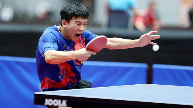 历史案例的 历史案例的